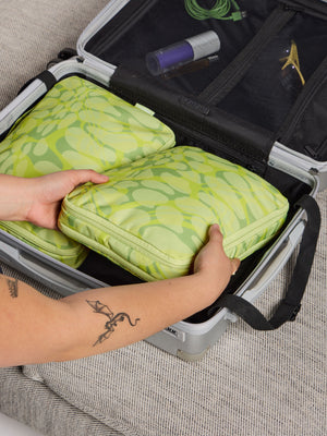 Green viper print CALPAK Medium Compression Packing Cubes in Ambeur Carry On Luggage; PCC2201-LIME-VIPER