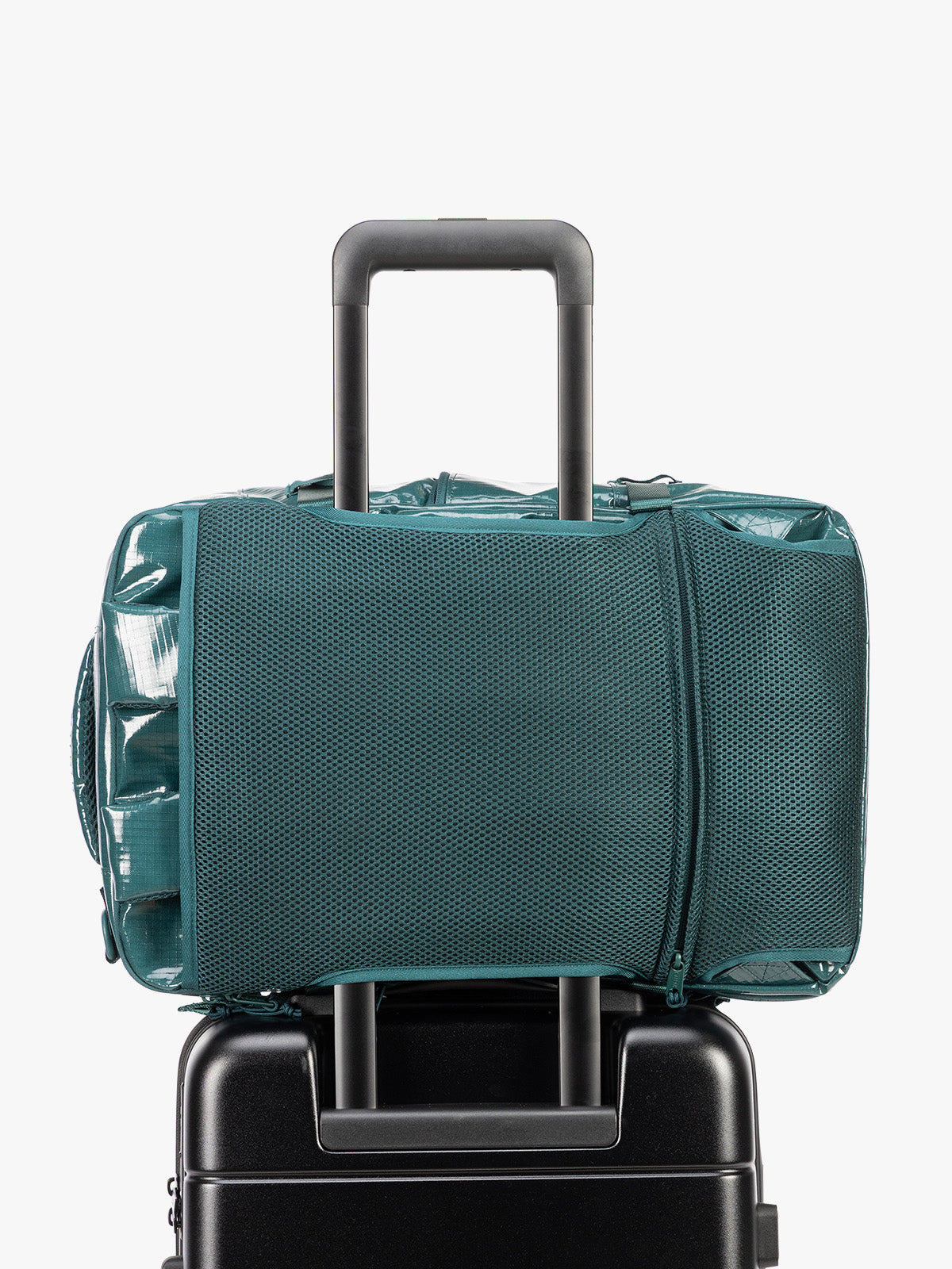 Terra 26L Laptop Duffel Backpack in Kale | CALPAK