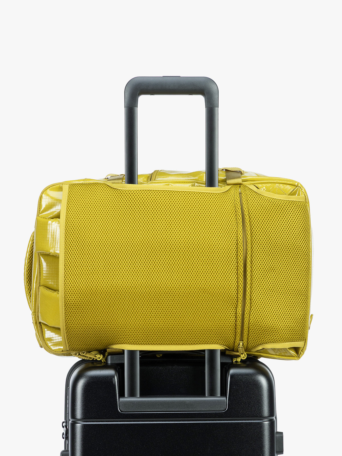 Terra 26L Laptop Duffel Backpack in Wasabi | CALPAK