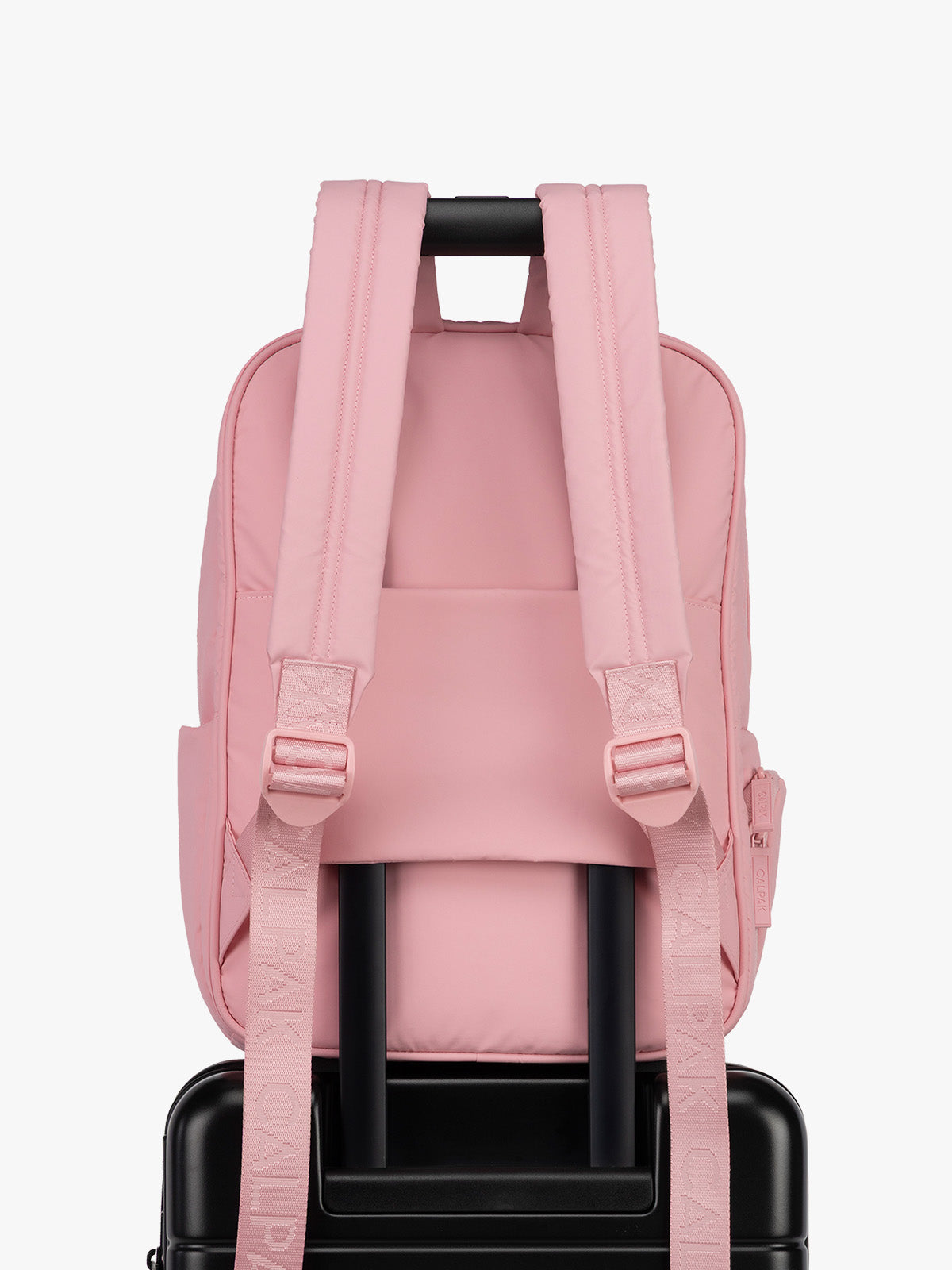 CALPAK Luka 15in Laptop Backpack in monochrome pink Blossom with trolley sleeve; BPL2001-BLOSSOM