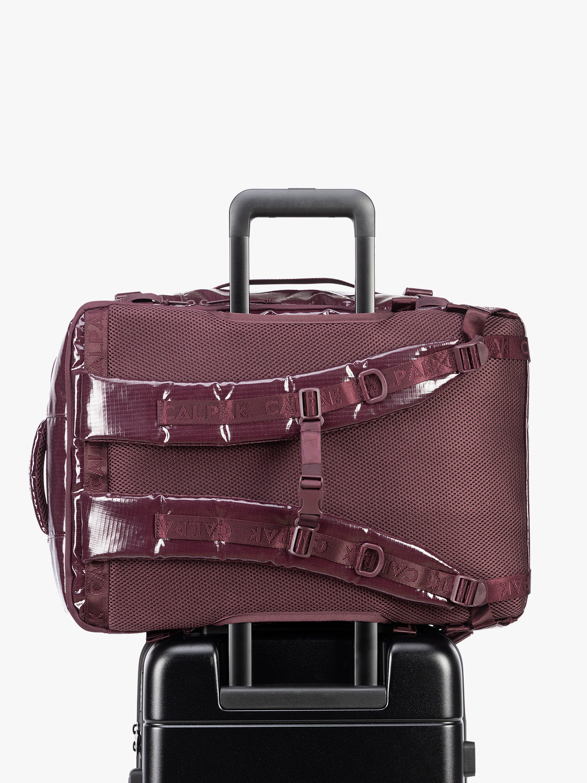 Terra 35L Laptop Backpack in Dark Cherry | CALPAK