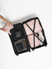 Hue Trunk Luggage