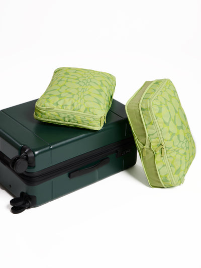 CALPAK Large Compression Packing Cubes in green lime viper; PCL2301-LIME-VIPER
