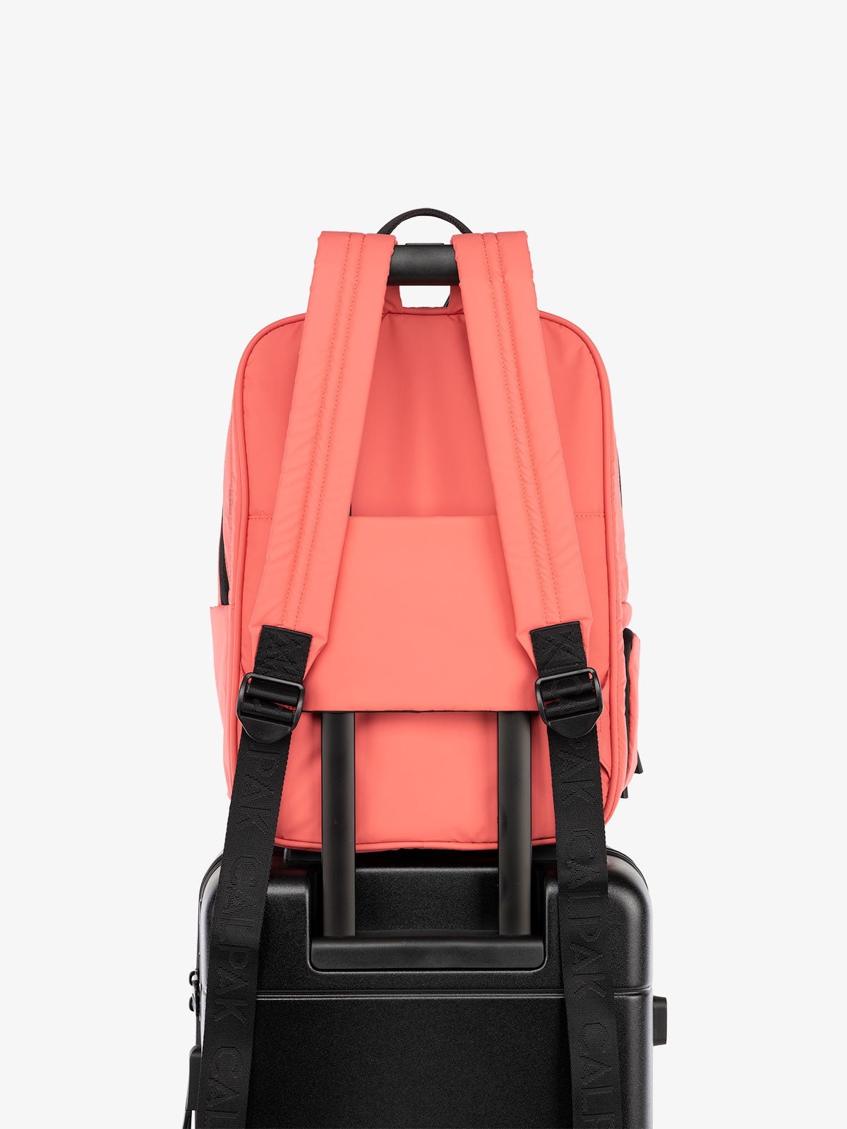 CALPAK water resistant Luka Laptop Backpack with adjustable shoulder straps and trolley sleeve in watermelon