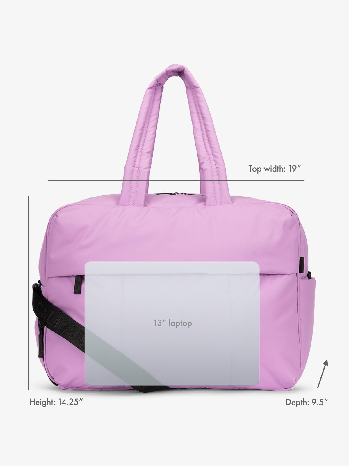 DLL2201-LILAC