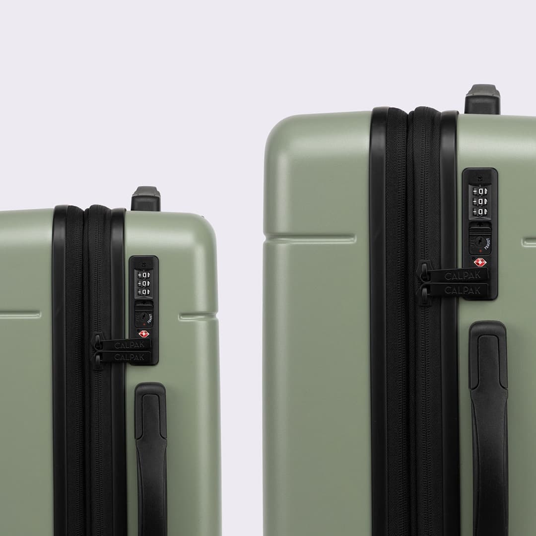 Hue Starter Bundle 8-Piece Set in Juniper | CALPAK
