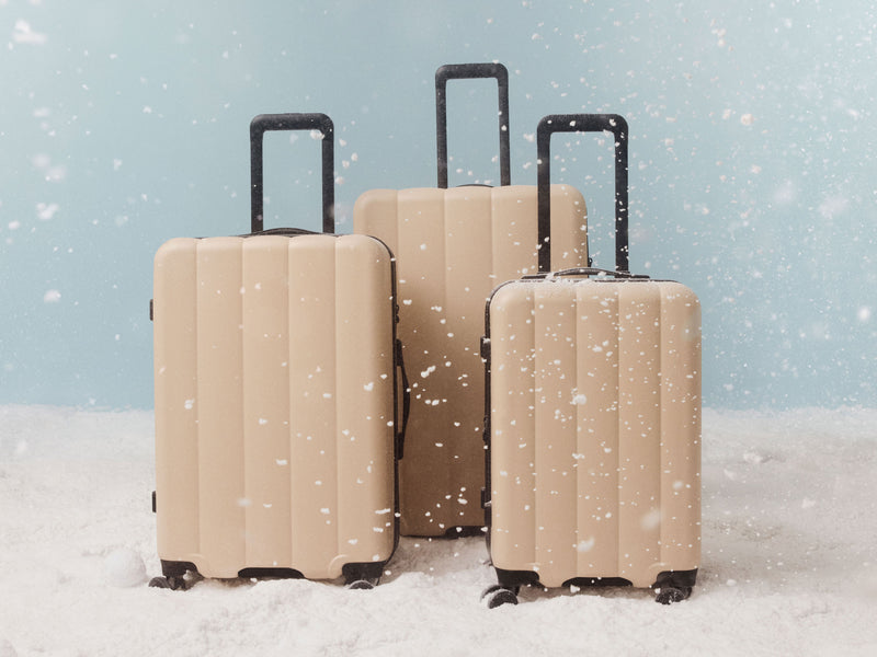 Explore Our New Arrivals