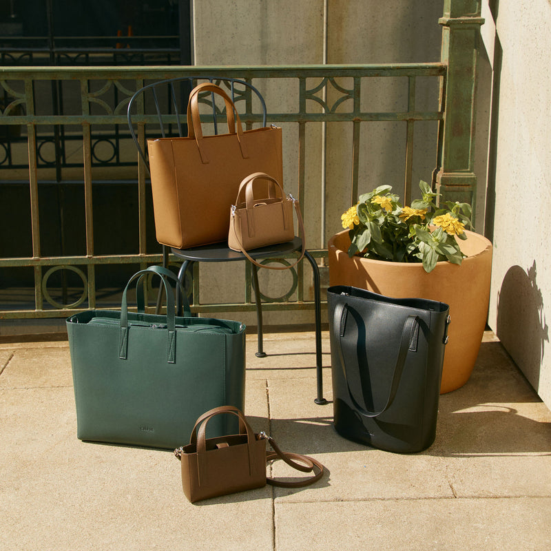 NEW Haven Collection