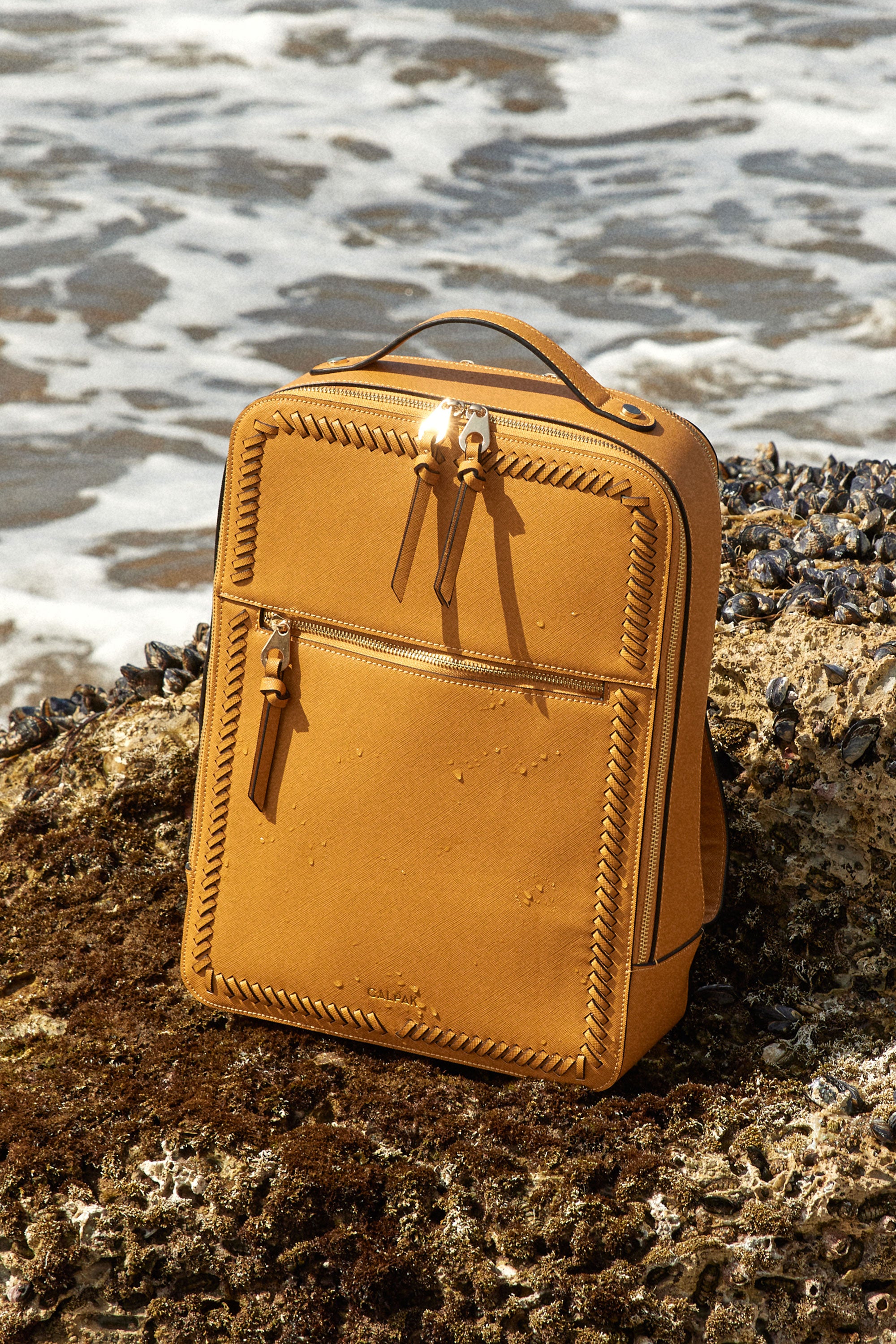 Travel Backpacks & Laptop Backpacks | CALPAK