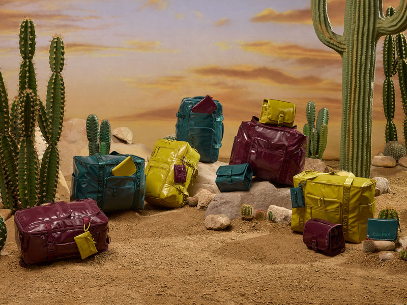 A collection of colorful, glossy CALPAK Terra Collection travel bags and suitcases styled in a desert landscape scene with cacti and rocks under a warm sunset sky.