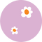 Swatch orchid-fields