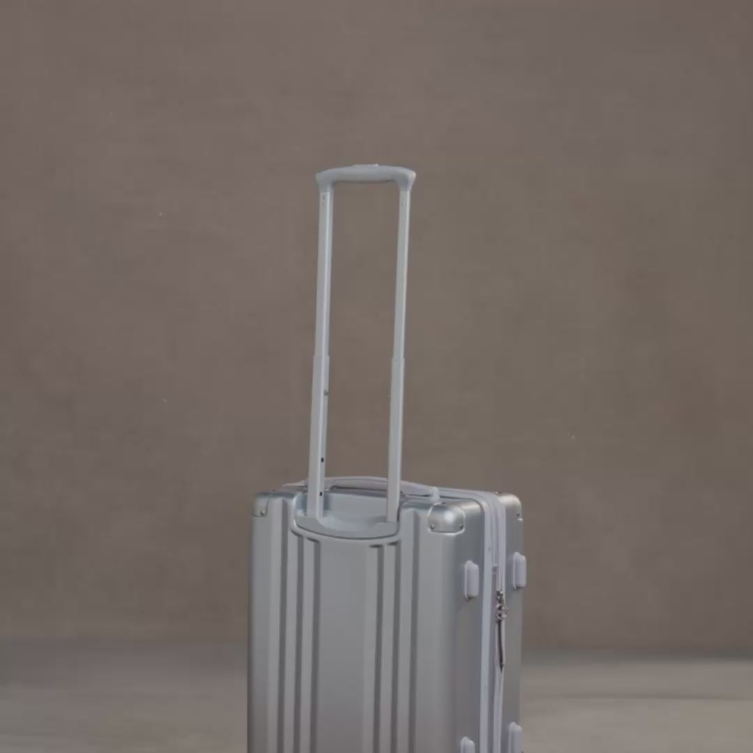 Luggage Trolley Sleeve with Hidden Pocket