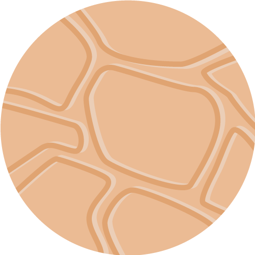 product swatch for trnk-almond