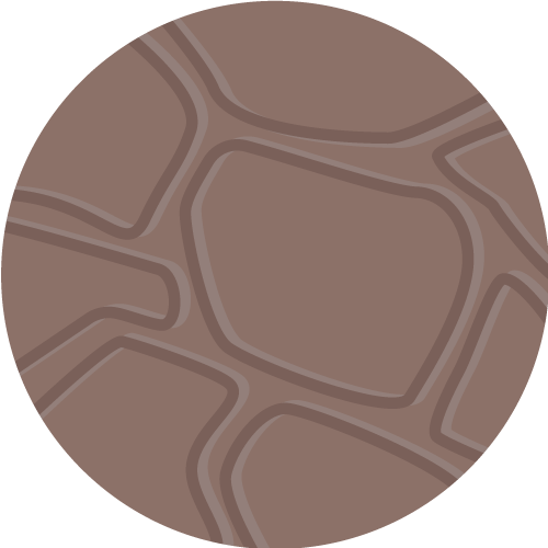 product swatch for trnk-espresso