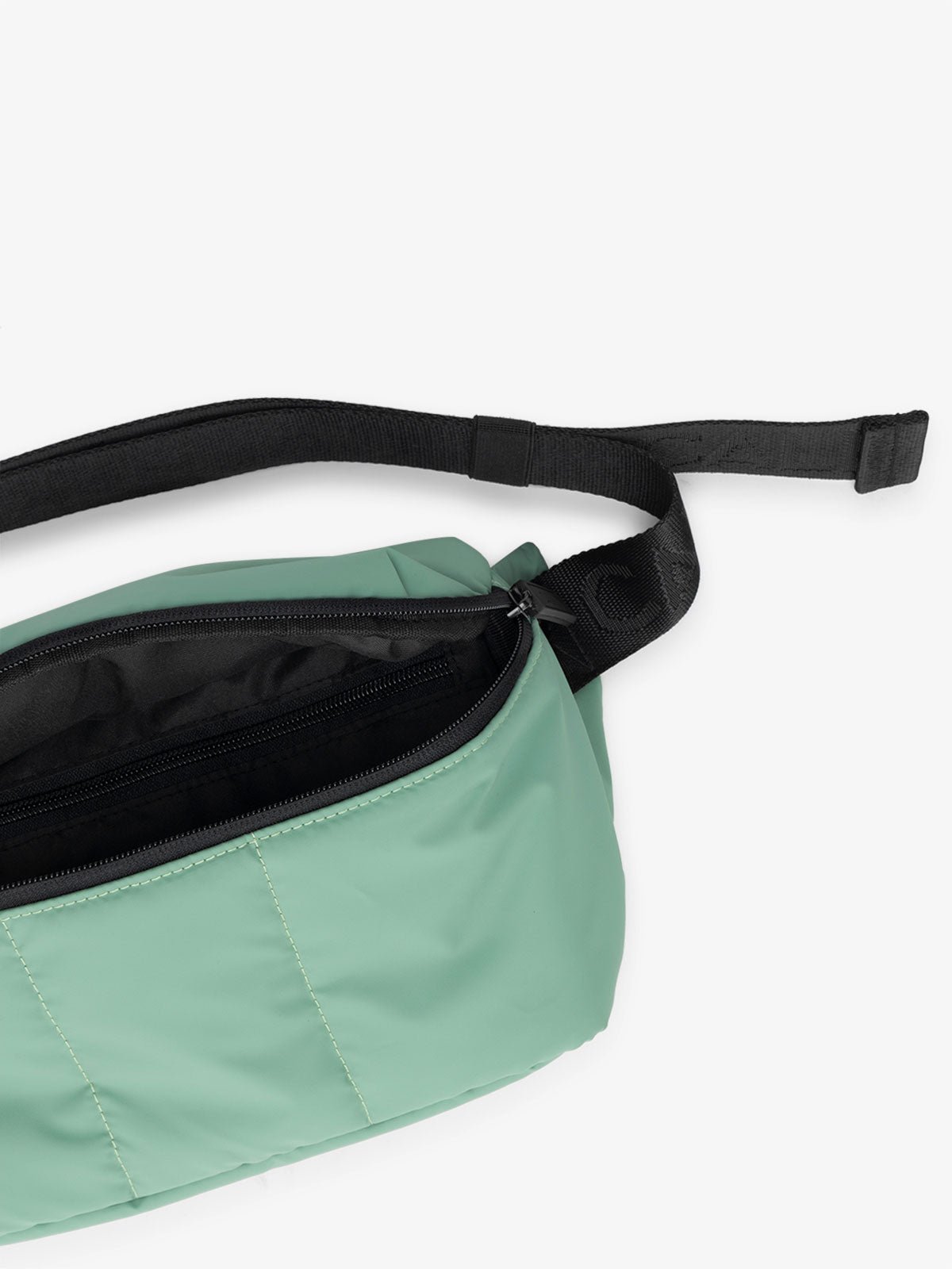 CALPAK Luka travel Belt Bag with multiple pockets in light green