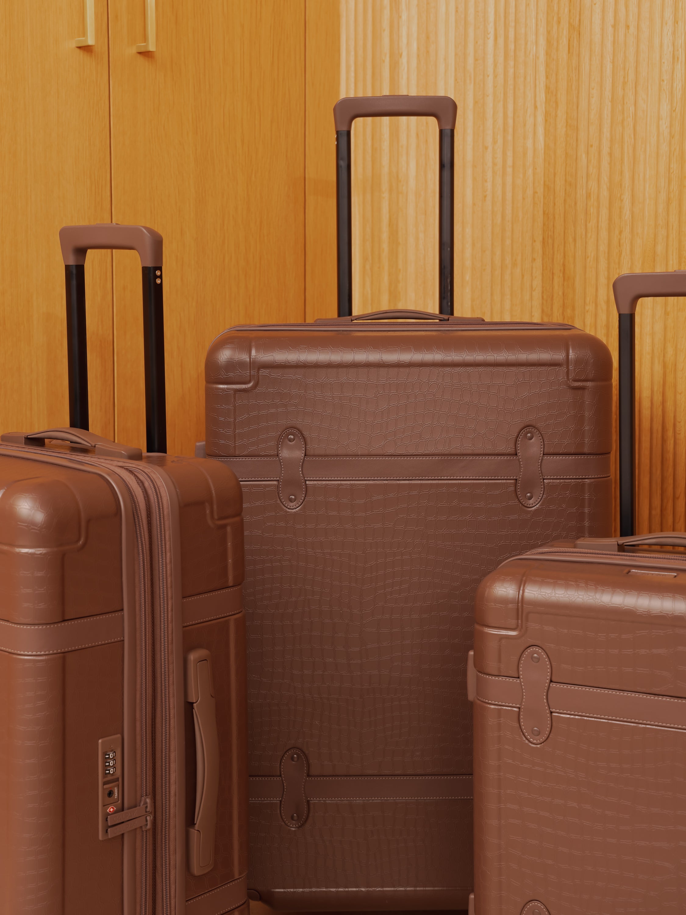 CALPAK TRNK hard shell luggage set with tsa lock, grab handles in brown